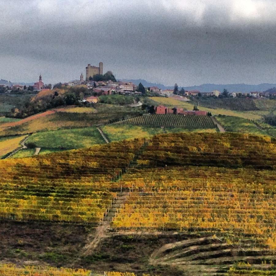 Cascina Maina Diano dʼAlba Exterior foto